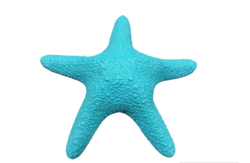 ESTRELLA JUNGLE TURQUESA 15-18cm