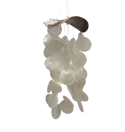 M-28 MOVIL PLACUNA+CAPIZ pack 4