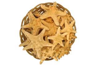 BOLSA FILIPINA NATURAL 08-10cm (bolsa 25 und)