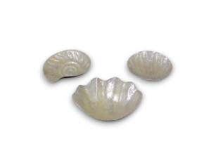 SET PLATITOS CAPIZ 3 Mod.10-12cm Pack 12