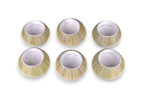 VELA ERIZO VERDE 06cm pack 06