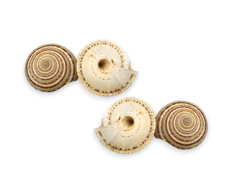 ARQUITECTONICA 03cm pack 25