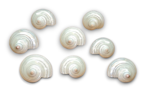 TURBO NACAR PLATA 06cm pack 25