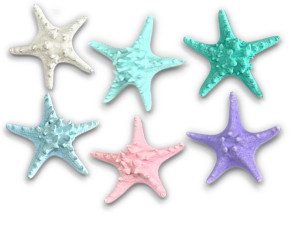 ESTRELLA FILIPINA LILA 18cm