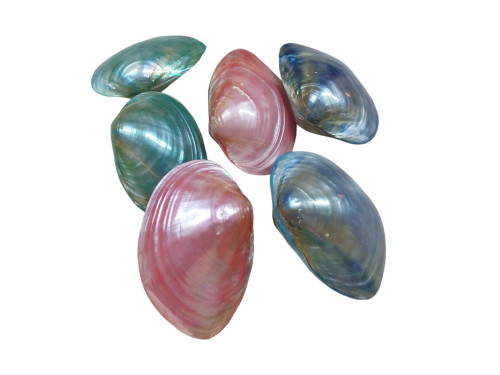 MACABE PAREJA NACAR COLOR 10cm pack 12