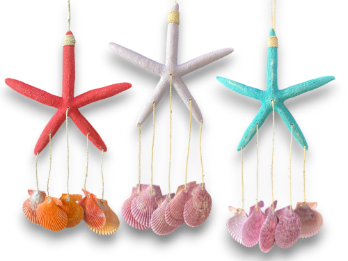 D-13 DECO E.DEDOS PECTEN 30cm 6 colors pack 12