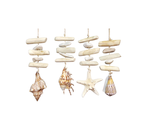 D-14 DECO FLOTAN SHELL 30cm pack 12