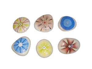 PISAPAPELES STONE ERIZO 3 colors pack 6