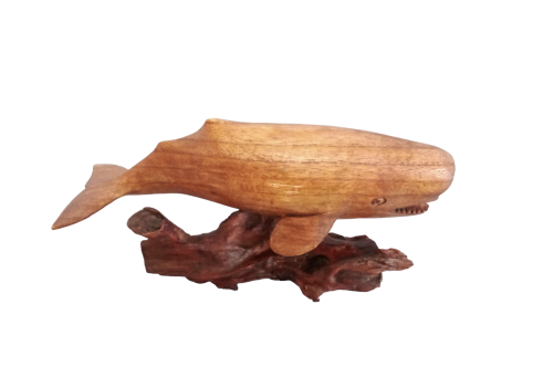 CACHALOTE JEMPINIS BASE 30cm