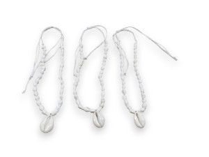 C.CA-22321 NASSA BLCA+MONETA pack 12